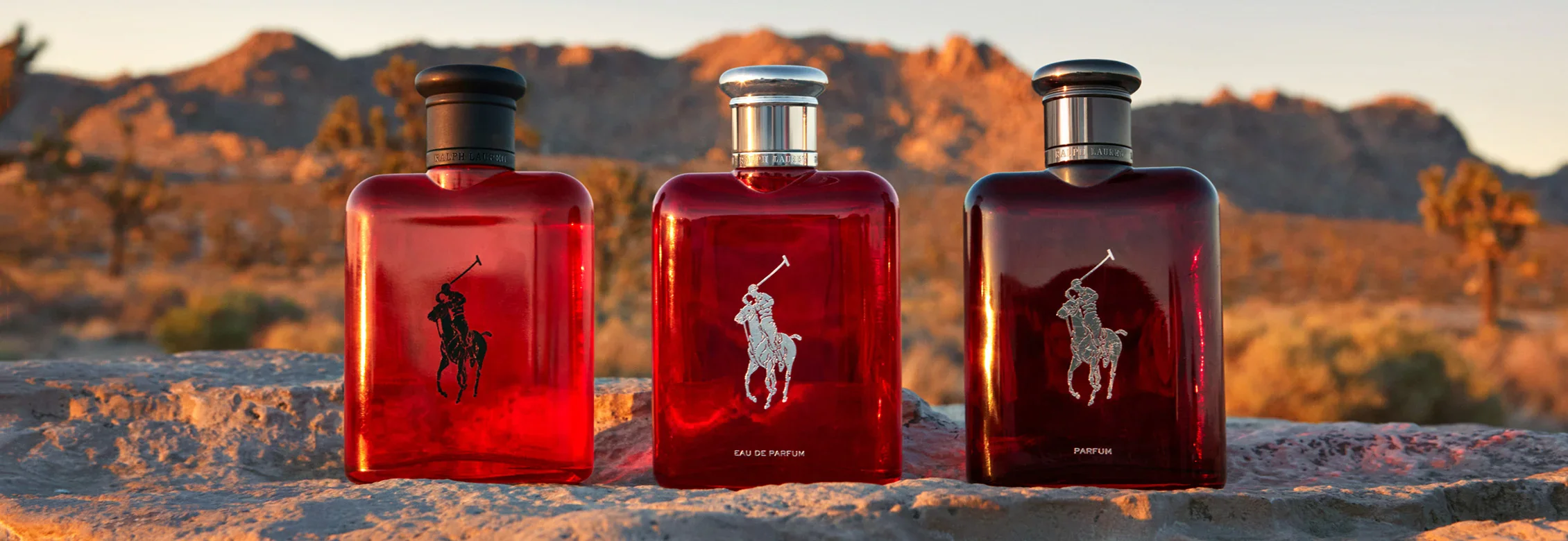 Ralph Lauren Hero Image 1