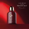 Armaf Club de Nuit Private Key To My Love Extrait 100ml - image 3